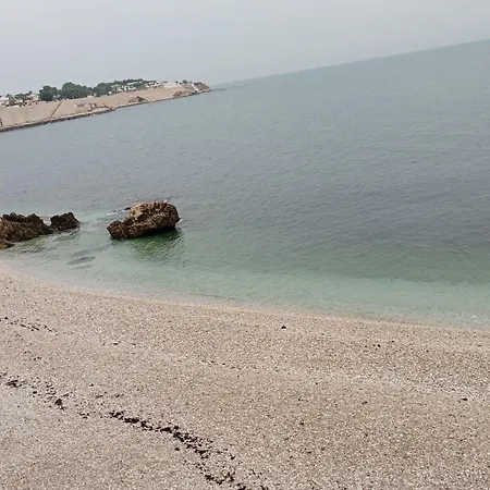 Almaredo * Bisceglie