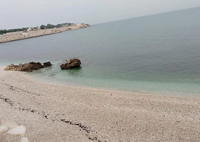 Almaredo * ביצ'לייה